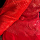 Blood Red Sequins Saree